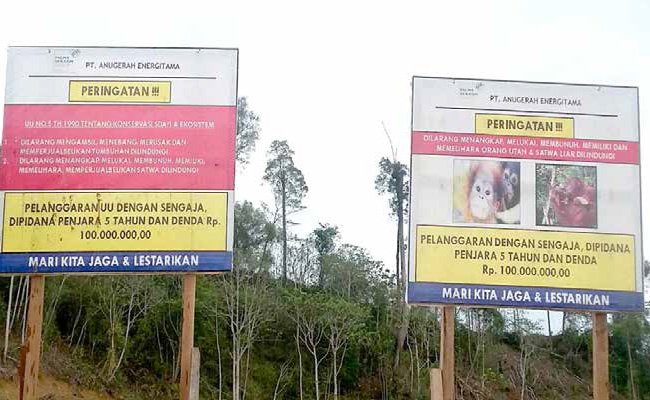 TUDINGAN YANG MENJAUHKAN FAKTA