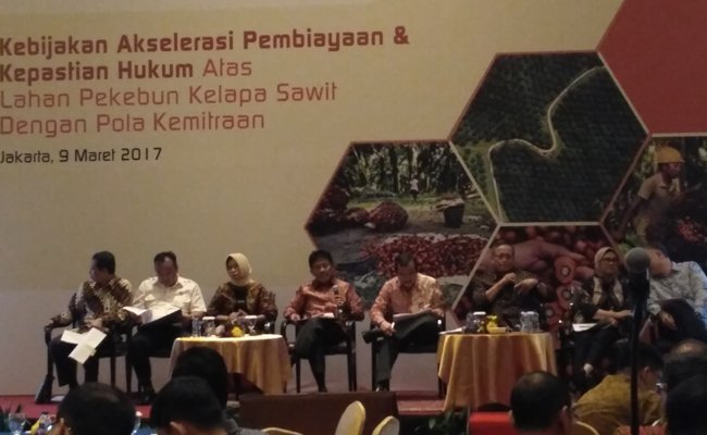 Dibalik Penghapusan Skim Revitalisasi Perkebunan