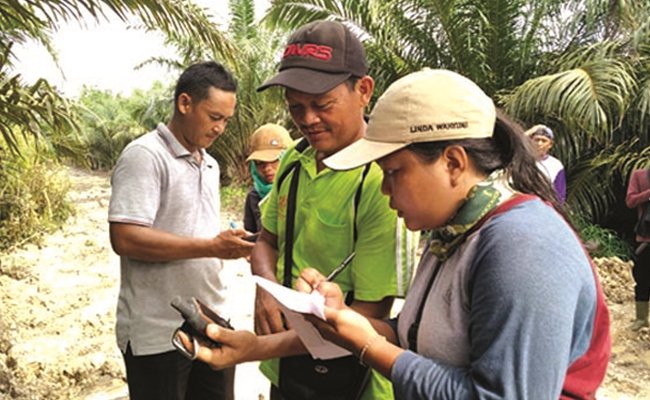 Mengurai Status Lahan Petani Swadaya