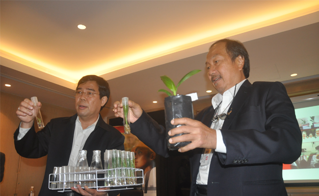SMART Resmi Luncurkan Benih Sawit Kuljar Eka 1 & 2