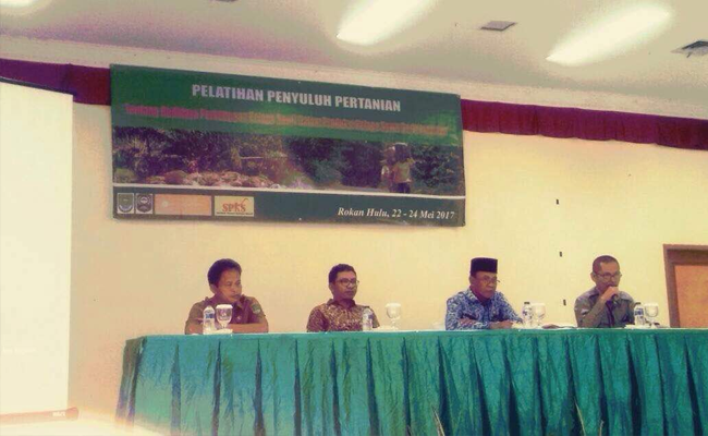 SPKS Adakan Pelatihan, Untuk Tingkatkan Produktivitas Sawit Rakyat