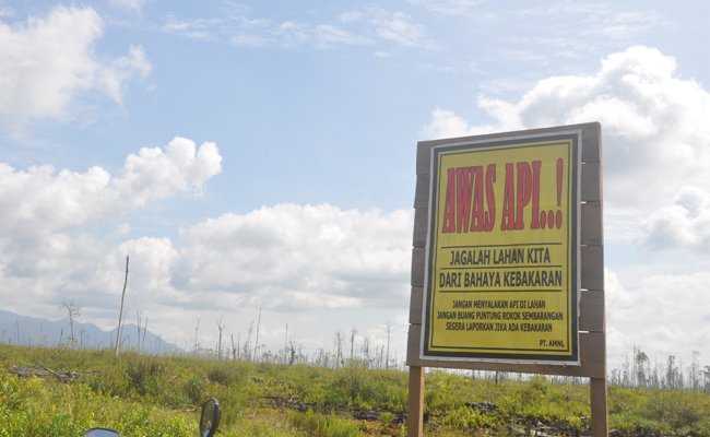 Tudingan Sawit Perusak Hutan Diluar Logika