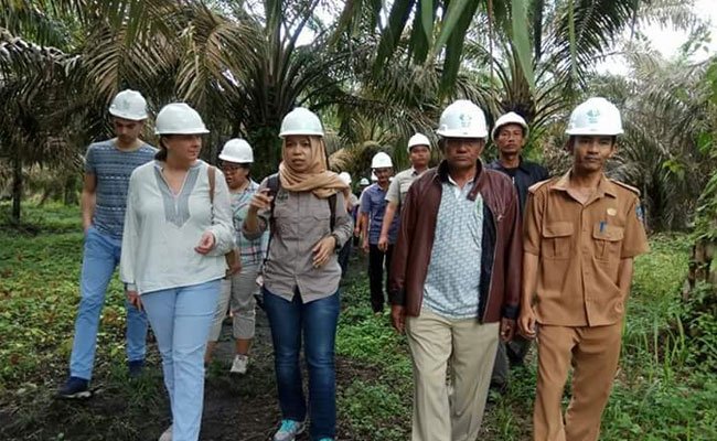 Tangan Dingin Perempuan Ubah Perilaku Petani Sawit Swadaya