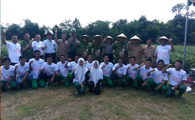 Austindo Nusantara Jaya Kembangkan Komoditas Edamame