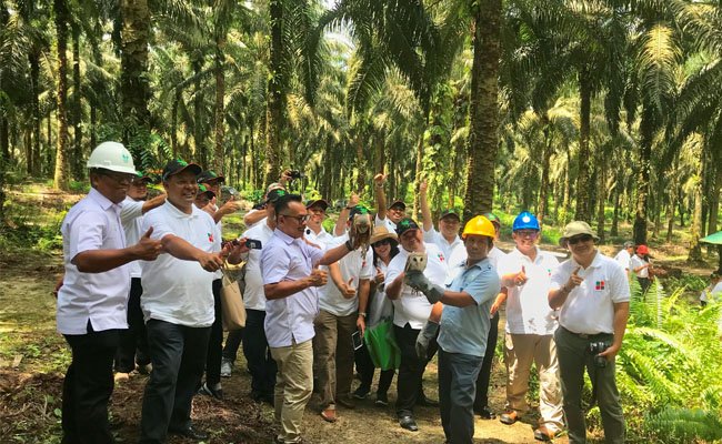 Kelapa Sawit Jadi Wawasan Tambahan Bagi Para Diplomat Indonesia