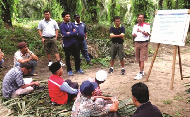 Kemitraan Jadi Kekuatan Pengembangan Perkebunan Kelapa Sawit