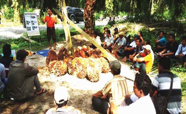 KERJA CERDAS MASYARAKAT DESA MEMBANGUN KEBUN SAWIT