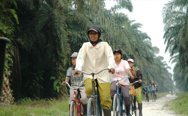 Kontribusi Tersembunyi Perempuan di Perkebunan Kelapa Sawit