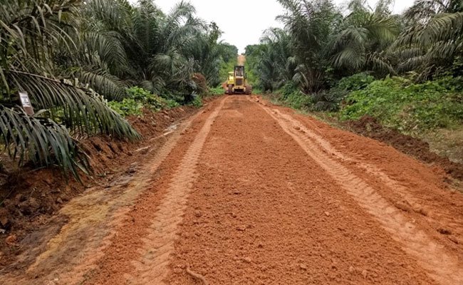 Menghitung Biaya Perawatan Jalan Di Perkebunan Kelapa Sawit
