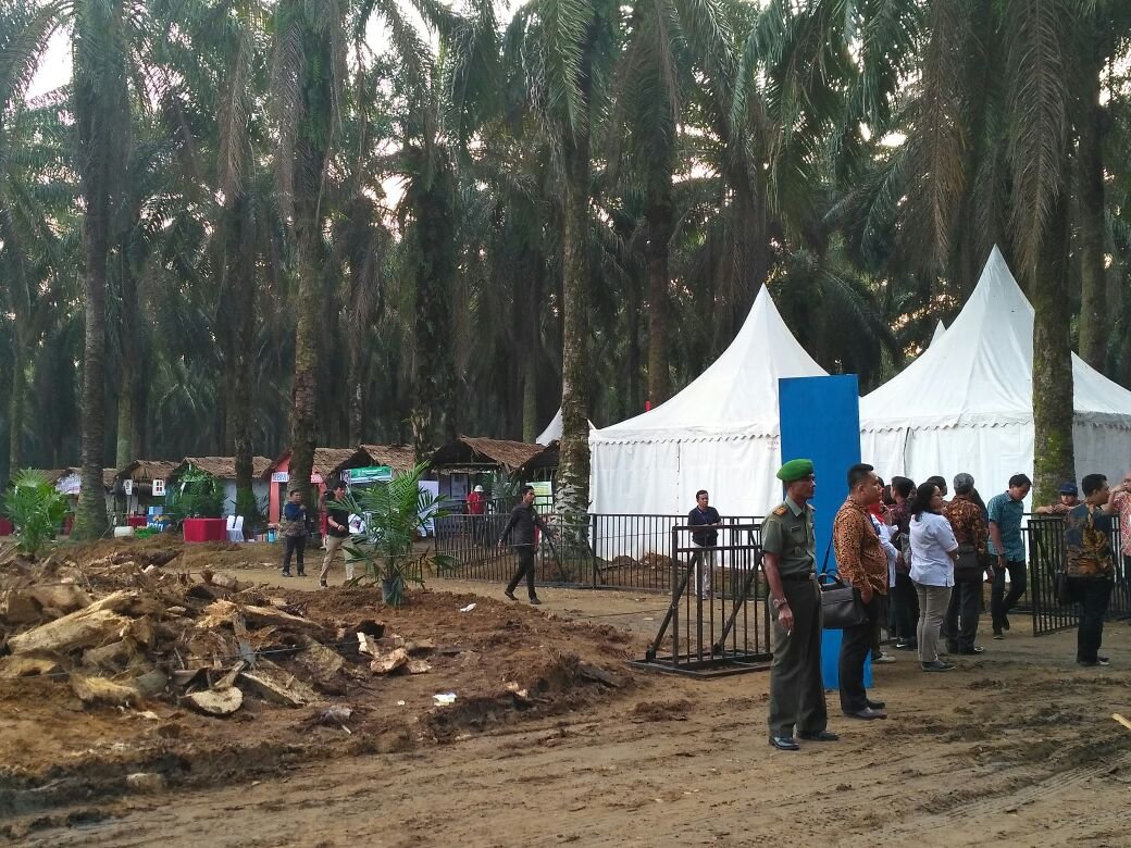 Peremajaan Sawit Rakyat Jilid 3 seluas 15 Ribu ha di Riau