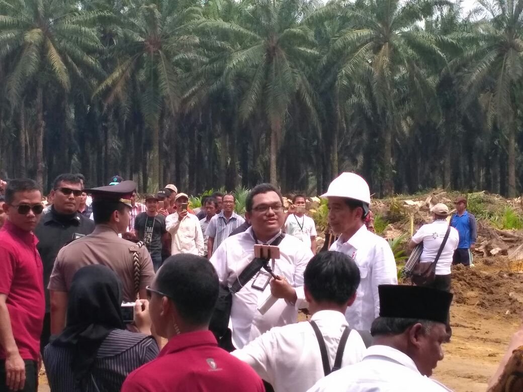 Peremajaan Sawit Rakyat Riau di 8 Kabupaten