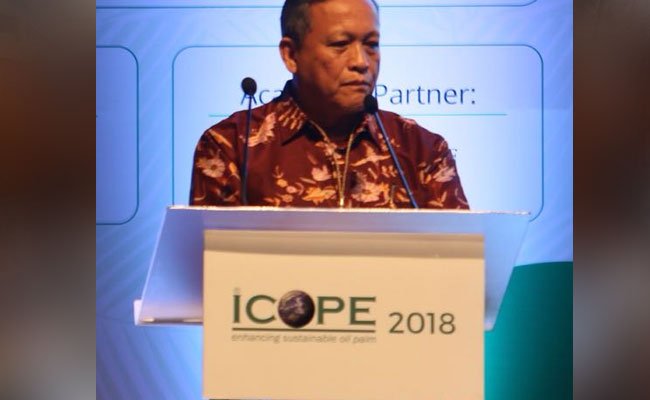 Perkebunan Kelapa Sawit Rakyat di 20 Provinsi Bakal Diremajakan