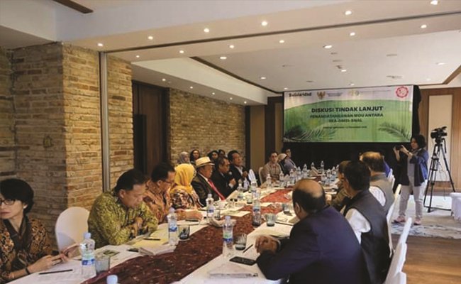 Membangun Komunikasi Sektor Sawit Dengan India