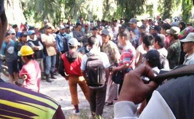 Pekerja Sawit PT WMK Anak Usaha Dhanista Surya Nusantara Gelar Aksi Mogok Kerja