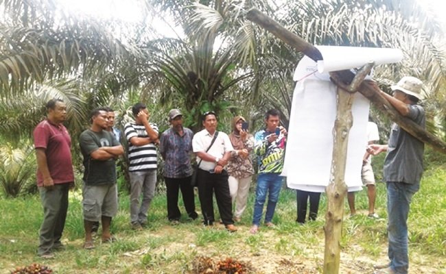 Dikala Petani Sawit Swadaya Memenuhi Kebutuhannya Secara Mandiri