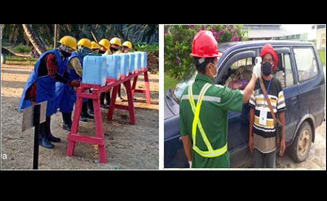 Cegah Paparan Covid-19 Di Kebun Sawit, 3 Klaster Patut Diwaspadai