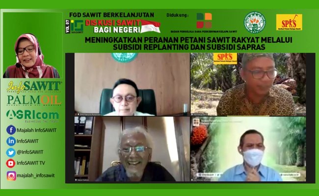 FGD Sawit Berkelanjutan Vol 7: Mendongkrak Kinerja Kebun Petani Sawit