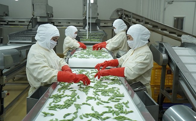 Komoditas Edamame ANJ Tembus Pasar Jepang