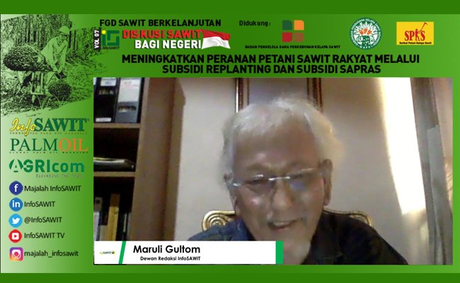 Kritik Pedas Kebijakan Pungutan Ekspor Sawit dan BK