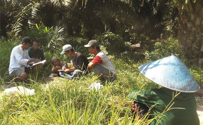 Petani Sawit Minta Revisi Pungutan Dana Sawit