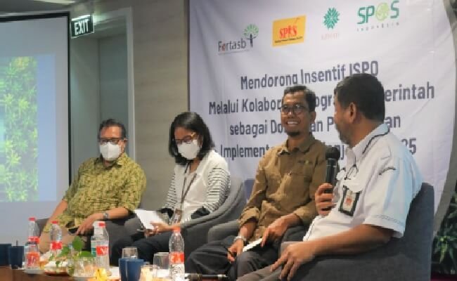 Membuka Peluang Insentif Bagi Petani Sawit Penerima Sertifikat ISPO