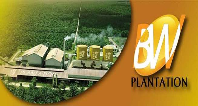 Awal Desember 2014, PT BW Plantation Bagikan Dividen Tunai Final