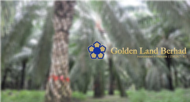 Golden Land Berencana Akuisisi Perusahaan Sawit “PT SKMA”
