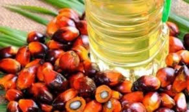 Kontribusi Produksi CSPO Indonesia Capai 50%