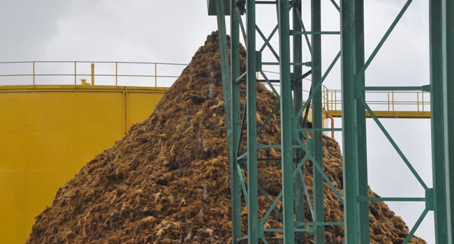 MIGHT & MBIC Bekerjasama Tingkatkan Industri Biomassa Pallet