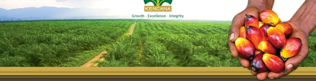Pendapatan Kencana Agri longsor 34%