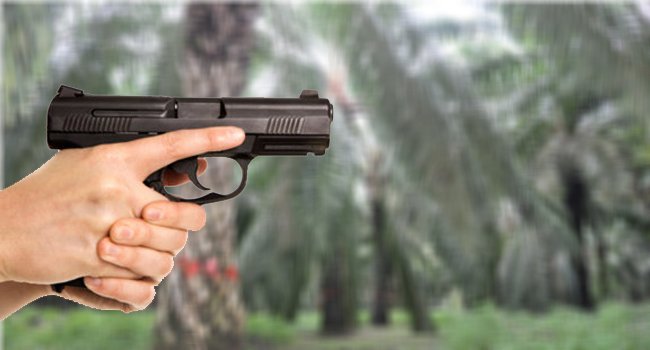 Petugas Tembak Pencuri Sawit Milik PT CRS 