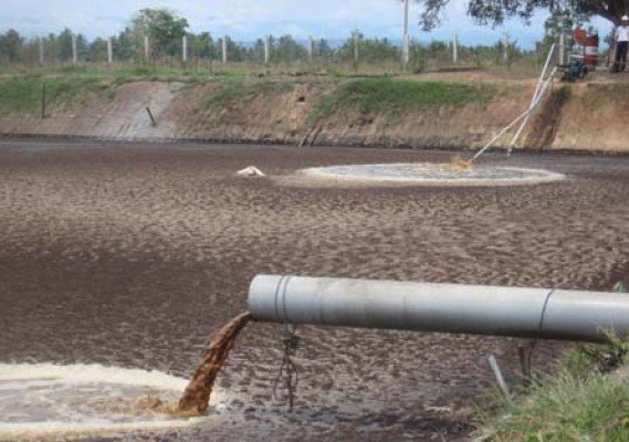 Riau Promosikan Potensi Biomassanya Ke Jerman