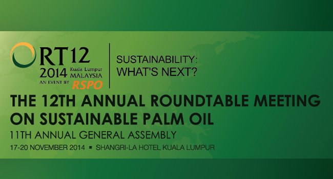 Roundtable 12 di Kuala Lumpur Bakal Dihadiri 800 Delegasi
