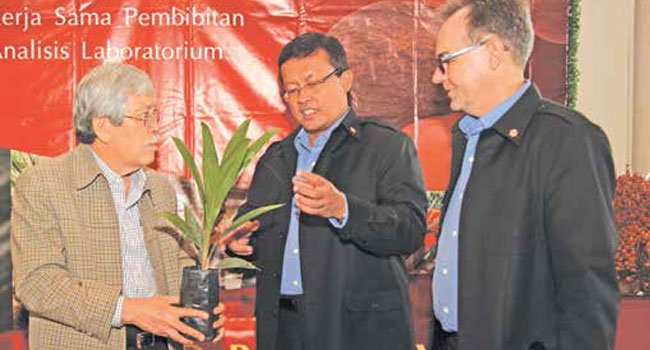 4 LANGKAH STRATEGIS SAMPOERNA AGRO