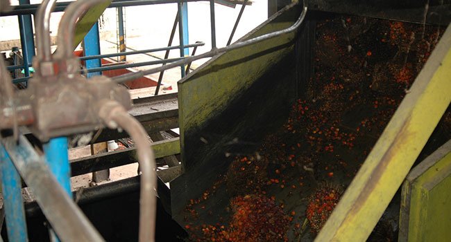 Samporna Agro Rencana Bangun PKS Baru Di Kalbar