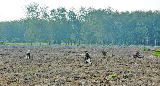 TEPO SLIRO  CEGAH KEBAKARAN