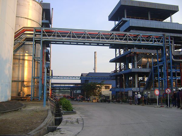  Industri Turunan Sawit, oleokimia  di  India Tumbuh Akibat Dua Faktor