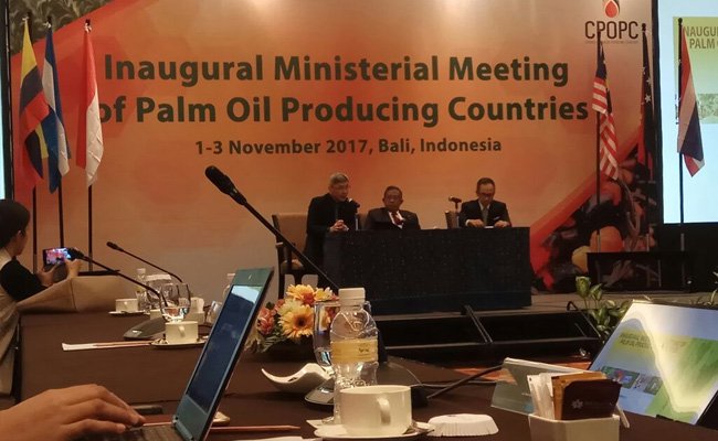 Bahas berbagai Isu, Para Produsen Sawit Dunia Lakukan Pertemuan di Bali