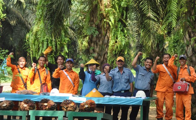 Cargill pun Kian Perkasa di Sawit