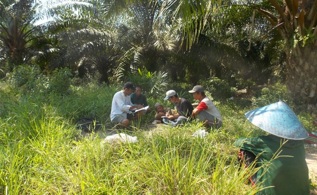 Dampak RT15th Bagi Keberlanjutan Petani Sawit Swadaya