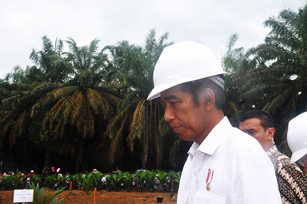 Jokowi Bersama Malaysia Sepakat Melawan Kampanye Hitam Sawit
