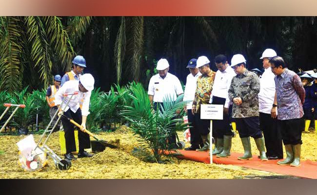 PEREMAJAAN SAWIT RAKYAT PUN DIMULAI
