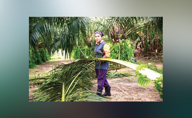 PRAKTIK BERKELANJUTAN GUNA MENDONGKRAK PRODUKTIVITAS
