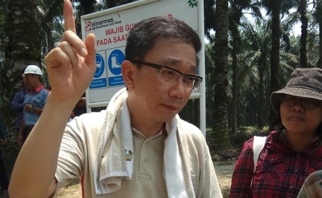 PSM V Kelola Sawit Dengan Budidaya Berkelanjutan