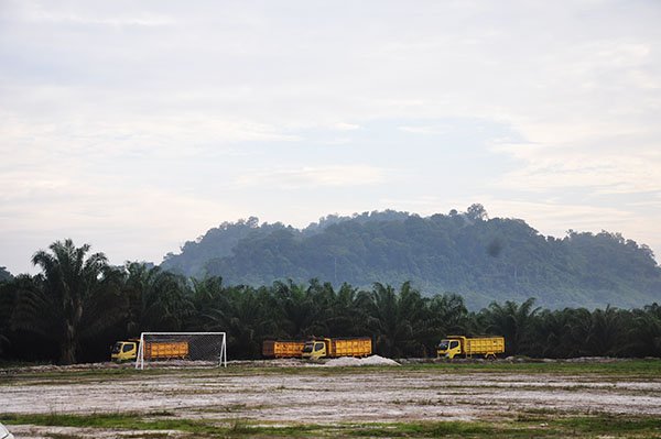 Selain Sawit PT Austindo Nusantara Jaya Tbk., Kembangkan Sagu, Edamame dan Biogas
