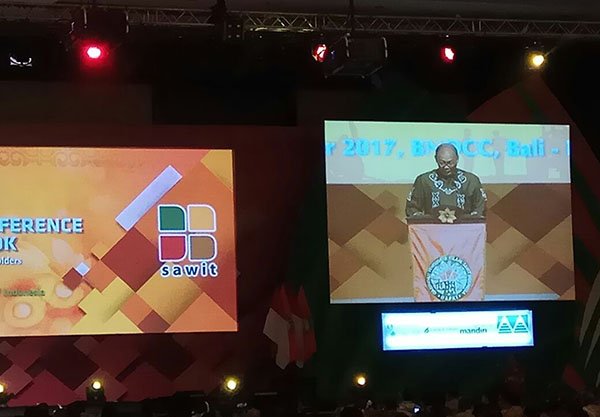 Tak Hanya Replanting, Petani Harus Perbaiki Pola Budidaya