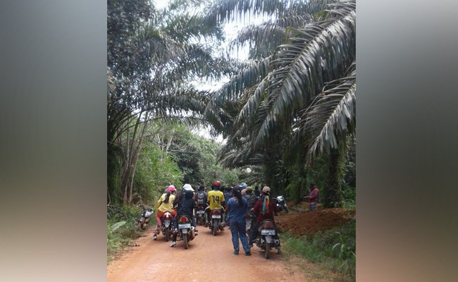Tumpang Tindih Perizinan Kebun Sawit, Merugikan Rakyat