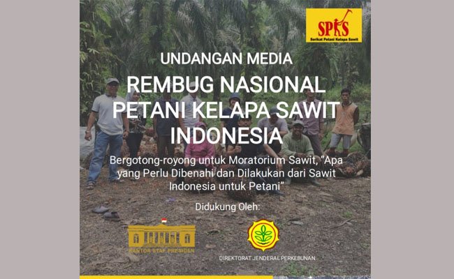 Cari Solusi, Petani Sawit Swadaya Adakan Rembug Nasional