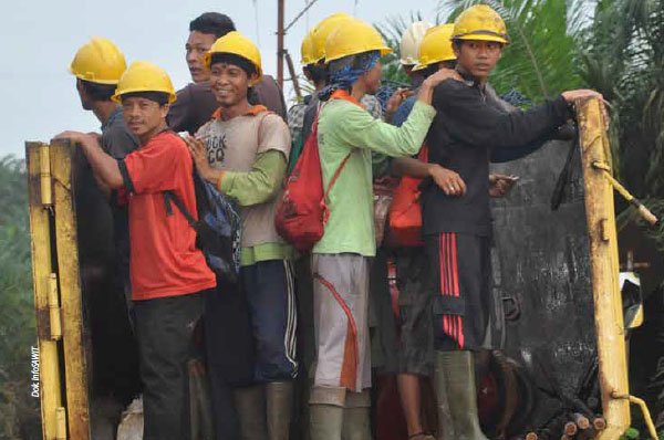 Kampanye Greenpeace, Mengancam Nasib Jutaan Petani dan Perkerja Sawit