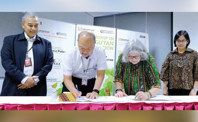 KERJASAMA REHABILITASI DAN EDUKASI, ORANGUTAN